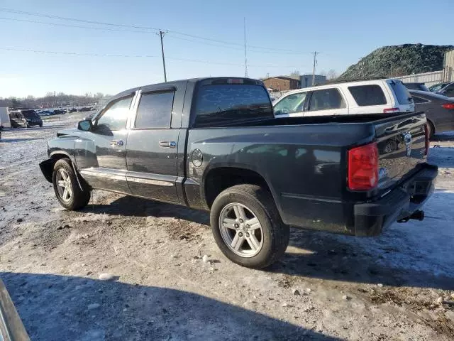 2008 Dodge Dakota SXT