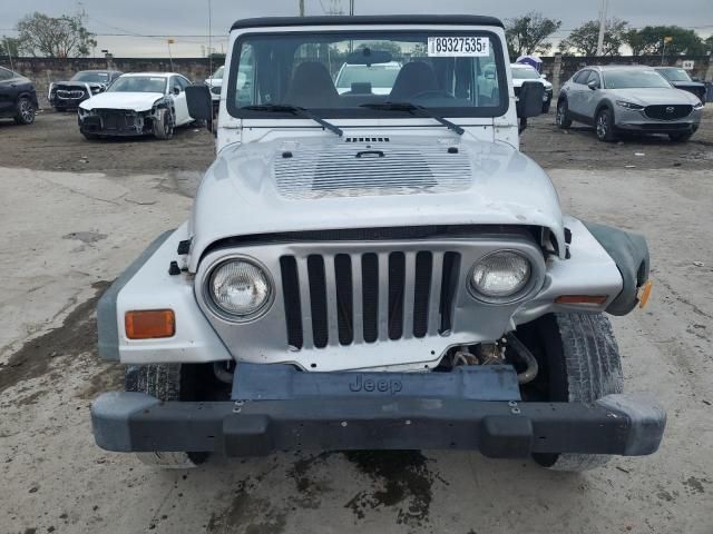 2002 Jeep Wrangler / TJ X