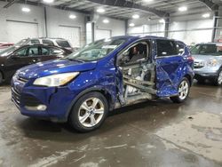 2014 Ford Escape SE en venta en Ham Lake, MN