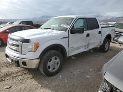 Ford salvage cars for sale: 2013 Ford F150 Supercrew