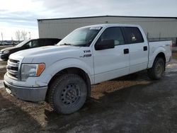 Salvage cars for sale at Rocky View County, AB auction: 2013 Ford F150 Supercrew