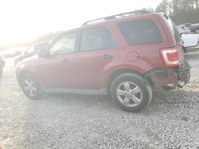 2011 Ford Escape XLT