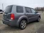 2013 Honda Pilot EXL