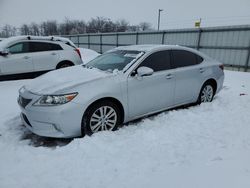 2014 Lexus ES 350 en venta en Lawrenceburg, KY