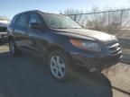 2007 Hyundai Santa FE SE