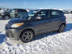 Scion salvage cars for sale: 2008 Scion XD