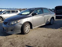 Salvage cars for sale at Pennsburg, PA auction: 2010 Toyota Corolla Base