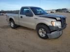 2009 Ford F150