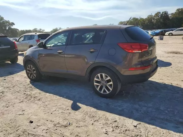 2014 KIA Sportage Base