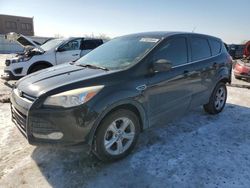 Run And Drives Cars for sale at auction: 2014 Ford Escape SE