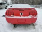 2005 Ford Mustang GT