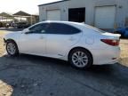 2013 Lexus ES 300H