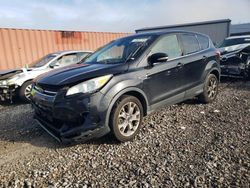 Salvage cars for sale at Hueytown, AL auction: 2013 Ford Escape SEL