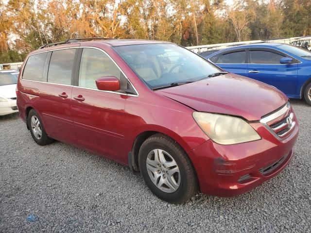 2006 Honda Odyssey EXL