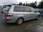 2007 Honda Odyssey EXL