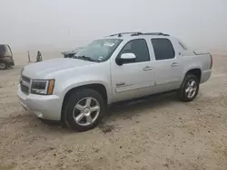 Vehiculos salvage en venta de Copart New Braunfels, TX: 2013 Chevrolet Avalanche LT