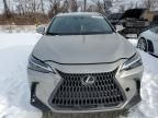 2023 Lexus NX 350