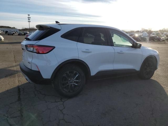 2020 Ford Escape SE Sport