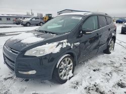 Salvage cars for sale from Copart Airway Heights, WA: 2014 Ford Escape Titanium