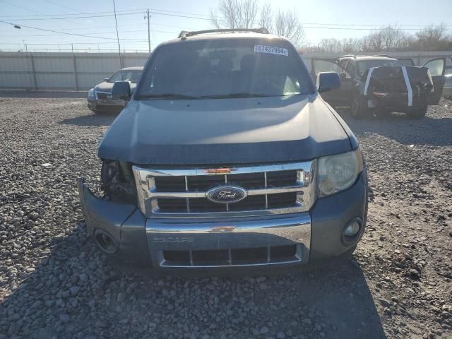 2010 Ford Escape Limited