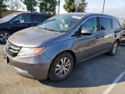 Salvage cars for sale at Rancho Cucamonga, CA auction: 2015 Honda Odyssey EX