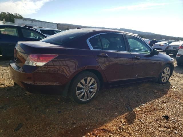 2009 Honda Accord EXL