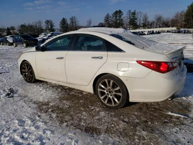 2013 Hyundai Sonata SE