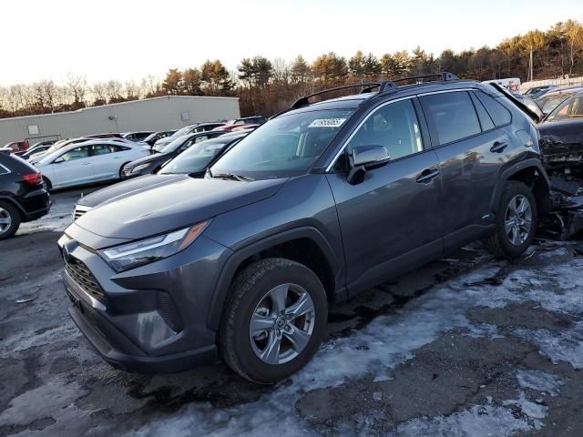 2024 Toyota Rav4 XLE