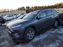 Salvage cars for sale at Exeter, RI auction: 2024 Toyota Rav4 XLE