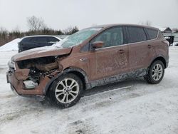 Salvage cars for sale at Columbia Station, OH auction: 2017 Ford Escape SE