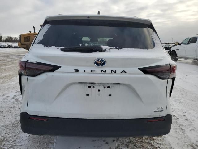 2024 Toyota Sienna LE/XLE