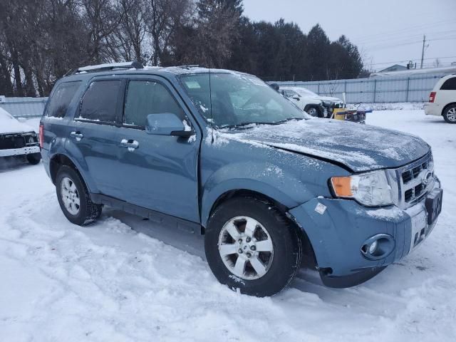 2011 Ford Escape Limited