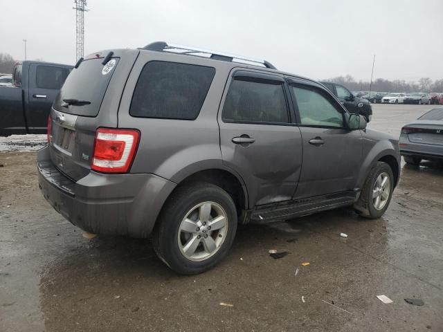 2011 Ford Escape Limited