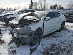 Salvage cars for sale from Copart Ontario Auction, ON: 2019 Acura TLX Technology