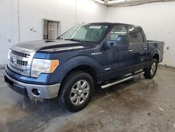 Ford salvage cars for sale: 2013 Ford F150 Supercrew