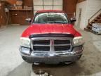 2005 Dodge Dakota Quad SLT