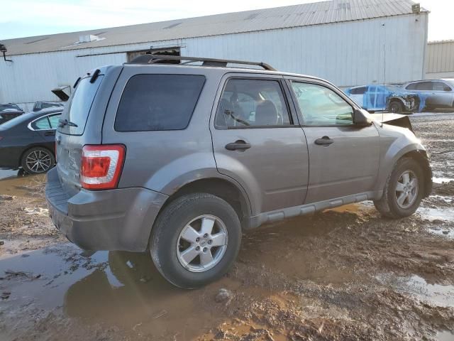 2011 Ford Escape XLT