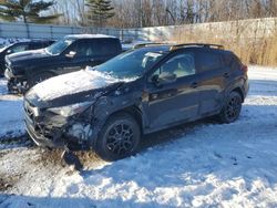 Salvage cars for sale at Davison, MI auction: 2024 Subaru Crosstrek Wilderness