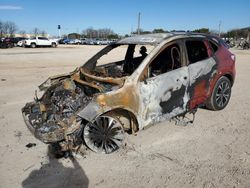 Salvage cars for sale at auction: 2022 Ford Escape SE