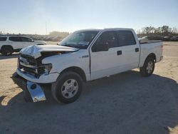 Salvage cars for sale from Copart Houston, TX: 2014 Ford F150 Supercrew