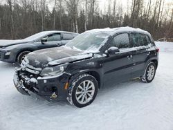 Salvage cars for sale at Cookstown, ON auction: 2013 Volkswagen Tiguan S