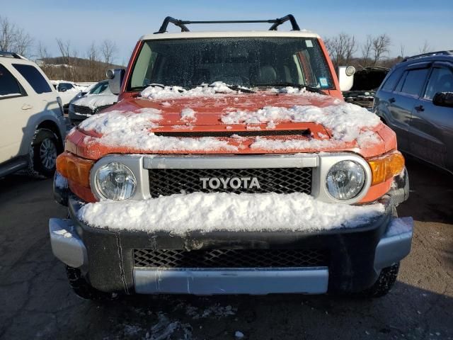 2013 Toyota FJ Cruiser