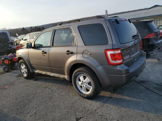 2011 Ford Escape XLT