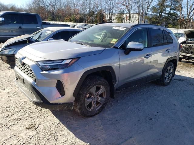 2023 Toyota Rav4 LE