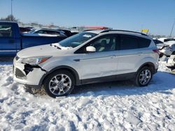 Salvage cars for sale at Cahokia Heights, IL auction: 2014 Ford Escape SE