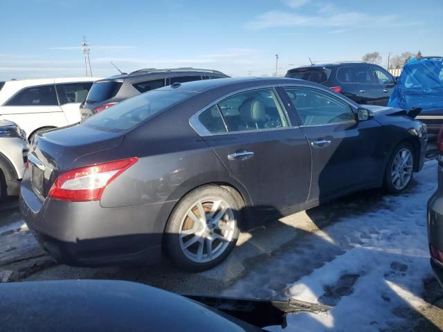 2009 Nissan Maxima S