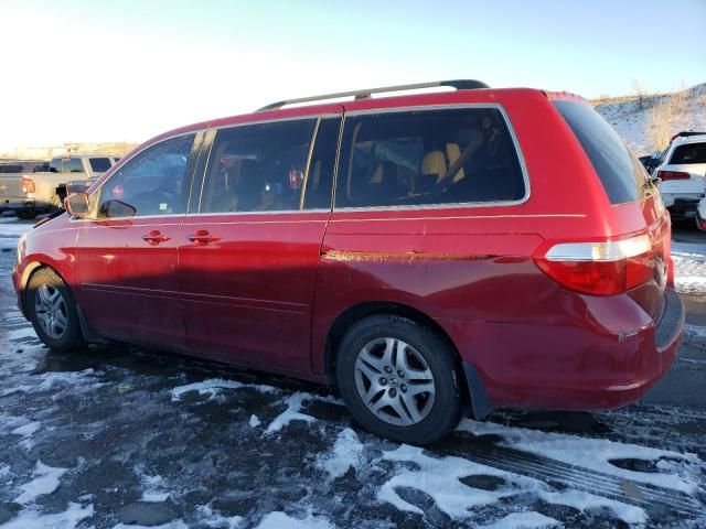 2005 Honda Odyssey EXL