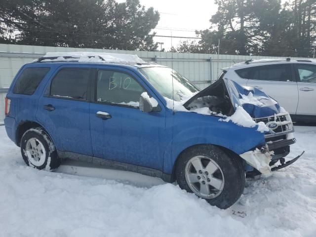 2011 Ford Escape XLT