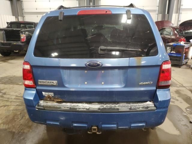 2009 Ford Escape XLT