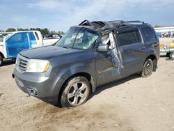 Salvage cars for sale at Harleyville, SC auction: 2013 Honda Pilot EXL